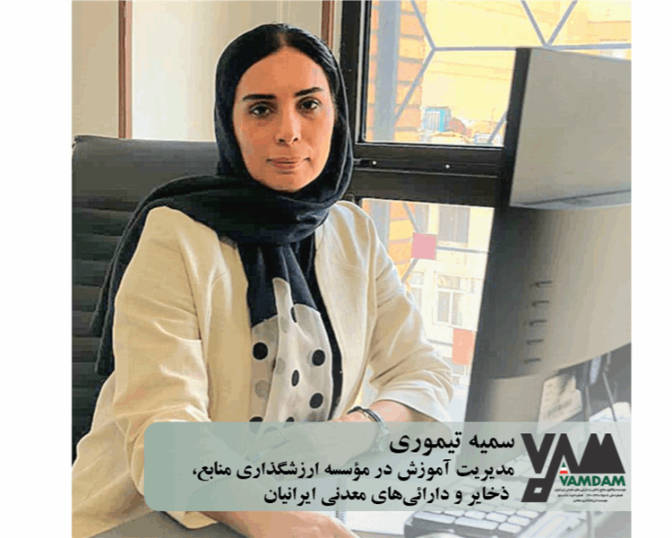 بررسی فرایند ارزش‌گذاری معادن و دارایی‌های معدنی و نقش مؤسسات تخصصی در حوزه ارزش‌گذاری معادن